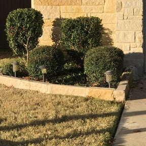 Landscaping by Candanoza Lawn Service reviewed on April 24, 2025