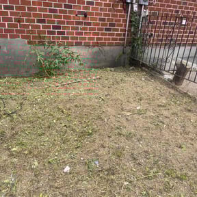 Leaf Removal by Duane & Sons lawn care reviewed on March 31, 2022