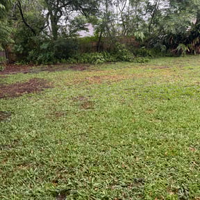 Cleanups by Downey Lawn and Snow reviewed on July 15, 2022