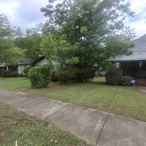 Bush Trimming by Platinum Construction Services reviewed on August 7, 2021