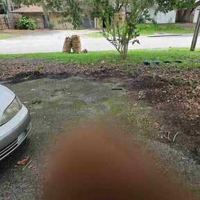 Cleanups by Wesleybrother lawn care reviewed on July 31, 2022