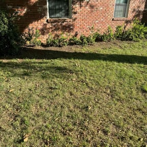 Leaf Removal by Arbor Tech Tree & Landscape reviewed on February 27, 2025