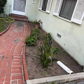 Weed Pulling by Forever Green FG LLC reviewed on September 9, 2024