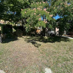 Cleanups by Gander Lawn Services reviewed on July 21, 2022