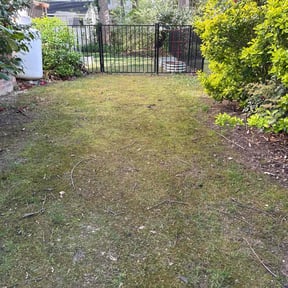Leaf Removal by Top Notch Lawn & Landscaping, LLC reviewed on June 7, 2022