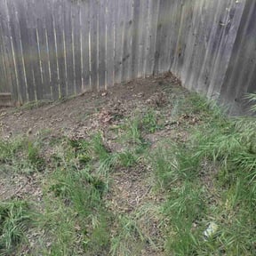 Cleanups by Slingblade Landscaping reviewed on May 15, 2022