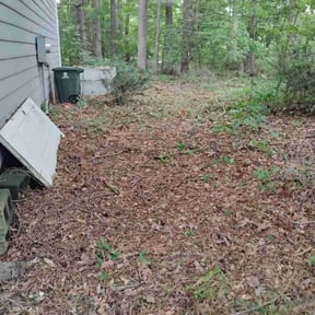 Cleanups by Jennifer Butler reviewed on June 23, 2022