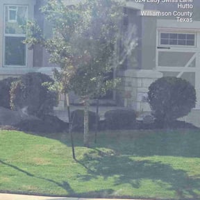 Mulching by Wildflower Lawn Care Company reviewed on July 18, 2022