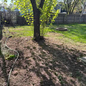 Leaf Removal by Clark and son lawn care reviewed on August 9, 2022