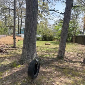 Leaf Removal by Double F Lawns reviewed on May 3, 2022