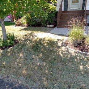 Mulching by Katos lawn service reviewed on June 19, 2022