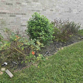 Cleanups by J & T Services reviewed on May 23, 2022