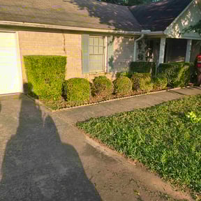 Bush Trimming by LSLTDallas/FortWorthTruGreen reviewed on April 18, 2025
