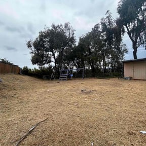 Cleanups by The Lawn Barber reviewed on May 23, 2025
