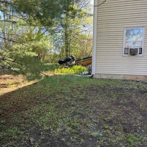 Cleanups by RodrÃguez Lawn Care reviewed on October 14, 2021