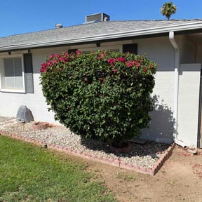 Bush Trimming by Smiley's Landscaping LLC reviewed on August 11, 2025