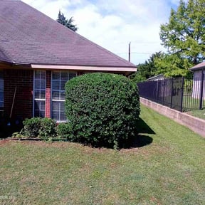 Bush Trimming by Just us landscaping LLC reviewed on May 26, 2022