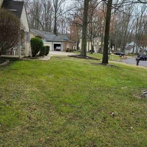 Cleanups by Reliablemowing LLC reviewed on July 20, 2022