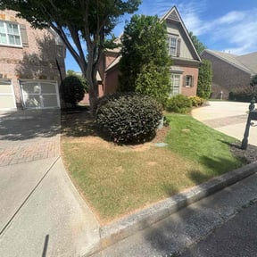 Bush Trimming by Carter Landscape Services reviewed on June 15, 2022