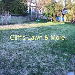 Cleanups by Sifu Lawn and Services reviewed on November 12, 2021