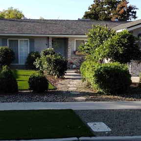 Bush Trimming by GG Landscaping reviewed on May 29, 2025