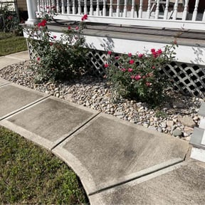 Flower Bed Weeding by Kievs Cleaning Service llc reviewed on July 6, 2022