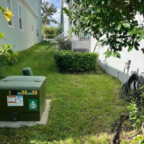Bush Trimming by Thomas Kelly Home Services reviewed on July 22, 2022