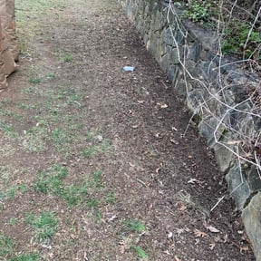 Leaf Removal by Goldies Dynamics reviewed on October 14, 2022