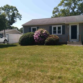 Bush Trimming by Yolandi's A-1 Lawn Care reviewed on June 29, 2022