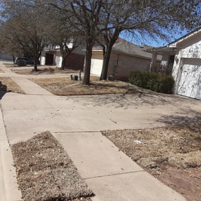 Landscaping by EZe quality scapes reviewed on July 2, 2025