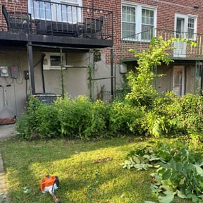 Bush Trimming by Joeys grass cutting llc reviewed on September 5, 2024