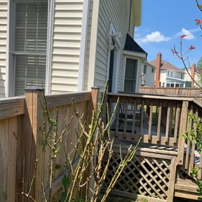 Bush Trimming by Krenik lawn services reviewed on October 24, 2024