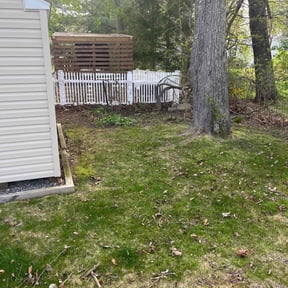 Leaf Removal by Field of Green lawn and Landscape reviewed on July 6, 2022