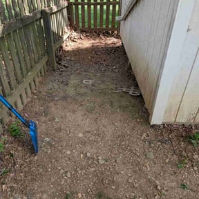 Leaf Removal by 3B Landscaping. reviewed on December 25, 2024
