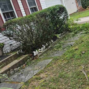 Bush Trimming by Carbon Dioxide Recyclers reviewed on April 28, 2025