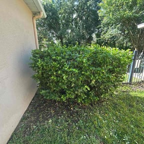 Flower Bed Weeding by O&amp;S Lawn Care LLC reviewed on March 15, 2025