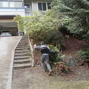 Leaf Removal by Lawns Murcia Landscaping reviewed on October 19, 2022