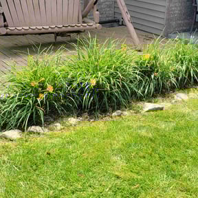 Flower Bed Weeding by Stear Lawn and Landscape reviewed on June 2, 2020