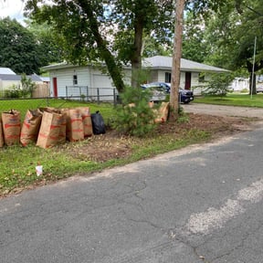 Leaf Removal by AJ Prosper Clean and Tidy Janitorial and Lawn Care LLC reviewed on June 17, 2022