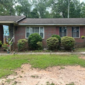 Bush Trimming by Cannon Lawn & Landscapes LLC reviewed on June 13, 2025