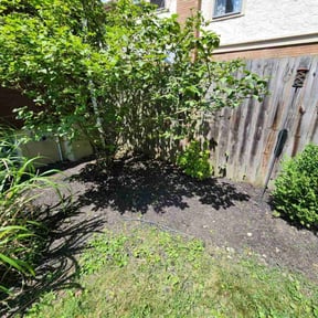 Flower Bed Weeding by 3DM reviewed on December 1, 2021