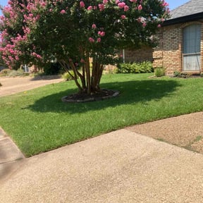 Flower Bed Weeding by Alvarado's Lawn Care reviewed on October 12, 2022
