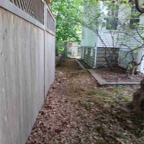 Leaf Removal by VOW Services reviewed on June 24, 2022