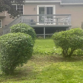 Bush Trimming by Keep it mowen reviewed on June 1, 2022