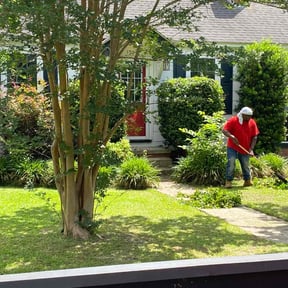 Bush Trimming by Logan's Lawn Care reviewed on October 30, 2021