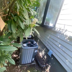 Cleanups by AG lawn service reviewed on March 18, 2022