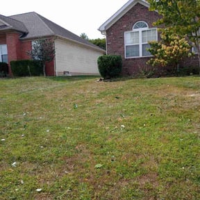 Bush Trimming by Big Boii Landscaping & Mote.... reviewed on April 24, 2022