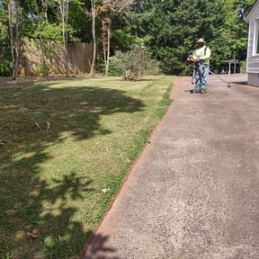 Cleanups by Maximum Landscaping & Lawn care reviewed on July 17, 2025