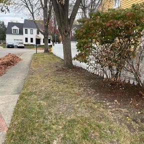 Leaf Removal by Okie Lawn and Landscape reviewed on July 20, 2022