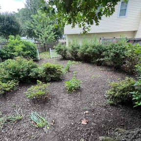 Leaf Removal by Clean cut lawn care reviewed on April 18, 2022